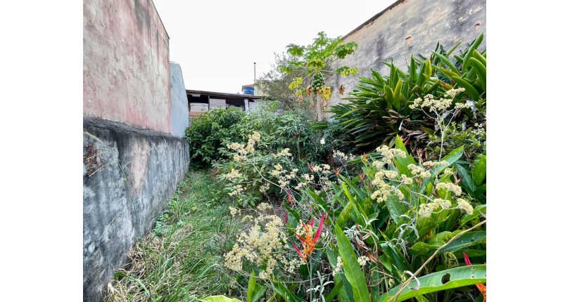 Sobrado à venda no Bairro da Chácara Inglesa na Rua Doutor Augusto Andrade