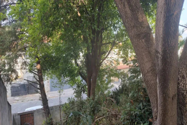 Terreno à venda no Bairro do Parque São Domingos na Rua Dona Herminda Borba Attuy