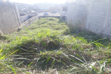 Terreno à venda no Bairro da Vila Aurora na Rua Amadeu Roldan,