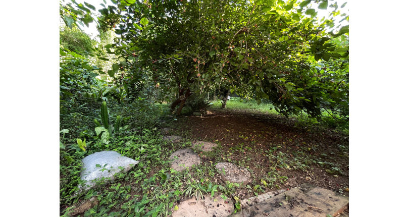 Casa térrea à venda no Bairro da Vila Clarice na Rua Major Alfredo Romão