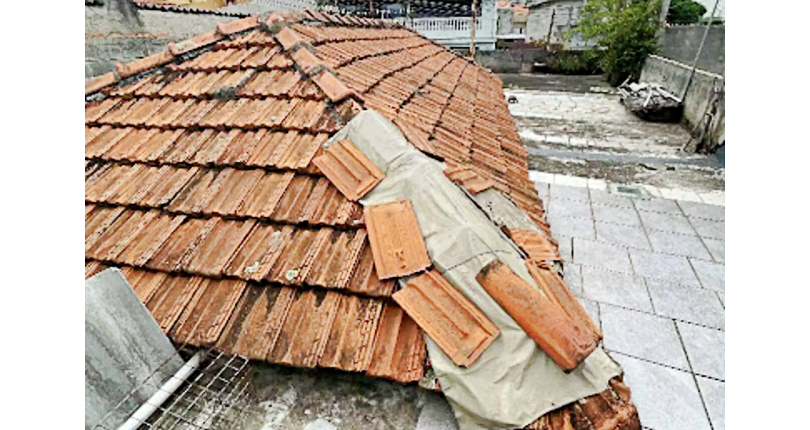 Terreno à venda no Bairro da Vila Palmeiras na Rua Bueno da Fonseca