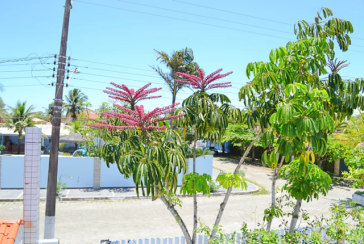 Casa térrea à venda em Itanhaém no Jardim Grandesp 