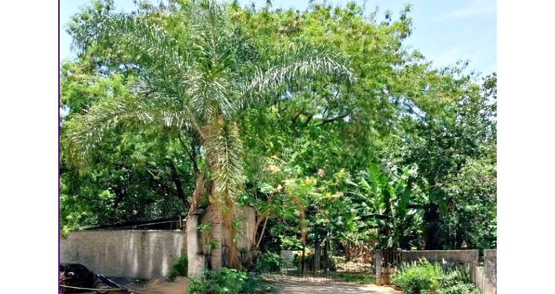 Excelente Terreno à venda no Bairro do Jardim Íris na Avenida Raimundo Pereira de Magalhães,