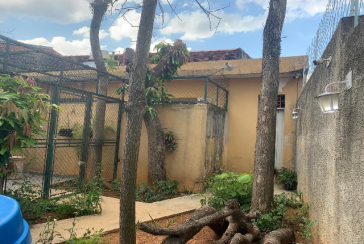 Terreno à venda no Bairro da  Ayrosa na Rua Garça, 