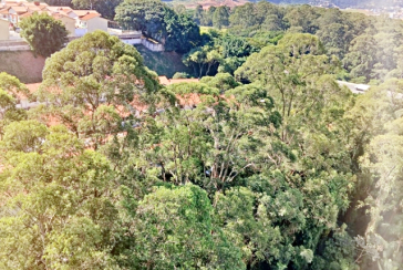 Belo Apartamento à venda no Bairro do Jardim Regina na Avenida Agenor Couto de Magalhães 222,