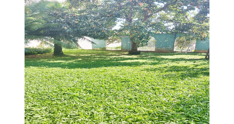 Casa à venda no Bairro do Jardim Maristela na Rua Coronel Augusto Machado,