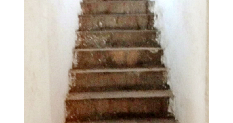 Imóvel Comercial à venda no Bairro da Vila Pirituba na Avenida Paula Ferreira