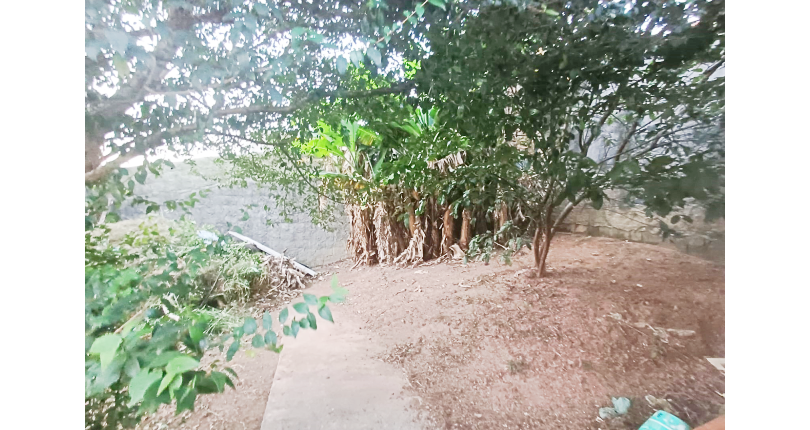 Casa à venda no Bairro da Vila Boaçava na Rua Domingos Maza, 