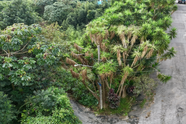 Terreno à venda no Bairro do Jaraguá na Rua Nova Jaraguá