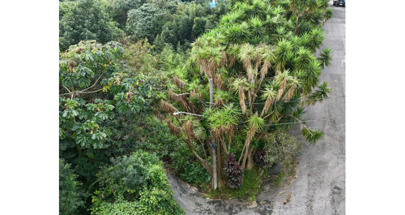 Terreno à venda no Bairro do Jaraguá na Rua Nova Jaraguá