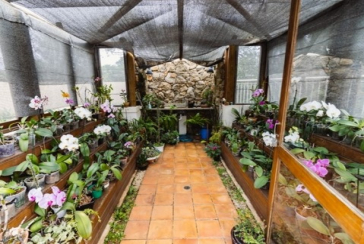 Belo Apartamento à venda em Pirituba no Condomínio Sítio Anhanguera na Rua Willian Furneau 296