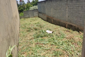 Terreno à venda no Bairro de Laranjeiras na Rua Alcides Banhe