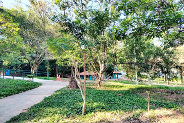 Belo Sobrado à venda no Bairro do Jardim Cidade Pirituba