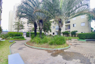  Apartamento à venda no Parque Maria Domitila na Rua Willis Roberto Banks 525