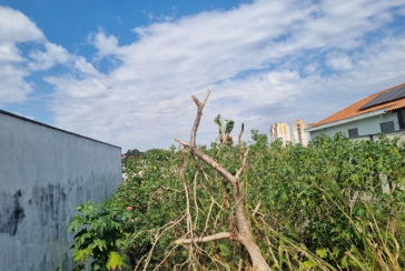 Terreno à venda no Bairro da Vila Guedes na Rua São Francisco de Assis