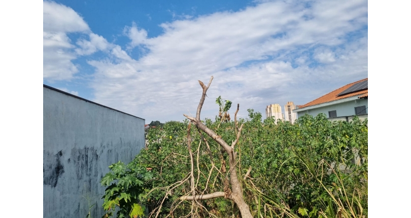 Terreno à venda no Bairro da Vila Guedes na Rua São Francisco de Assis