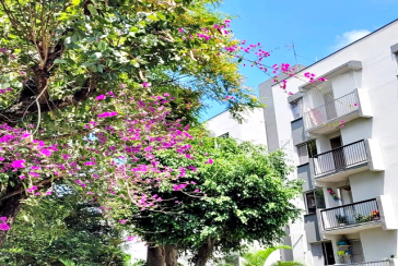 Belo Apartamento à venda no Bairro do Jardim Santa Mônica na Avenida Santa Monica 593