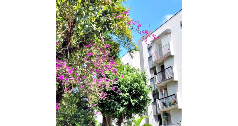 Belo Apartamento à venda no Bairro do Jardim Santa Mônica na Avenida Santa Monica 593