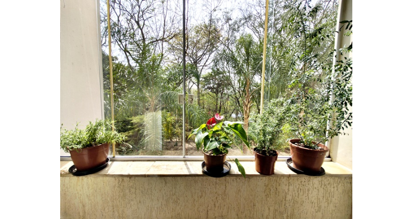 Lindo Apartamento à venda no Bairro do City América na Rua Pelópia 32