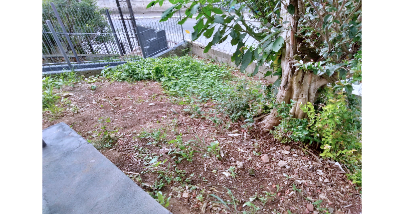 Terreno à venda Rua Doutor Rafael de Araújo Ribeiro, Jaraguá - Imóveis à Venda