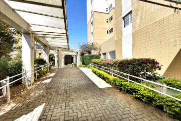 Lindo Apartamento à venda no Bairro do Parque Maria Domitila na Rua Willis Roberto Banks 401