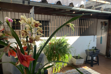 Casa térrea à venda no Jardim Santo Elias na Rua Sandoval Ferreira Cabral,