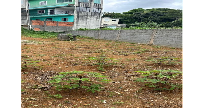 Terreno meio lote à venda no Bairro do Jaraguá na Rua Nova Jaraguá