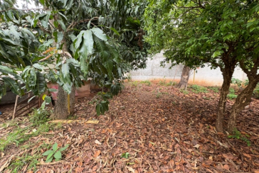 Terreno à venda no Bairro da Vila Clarice na Rua Major Alfredo Romão,