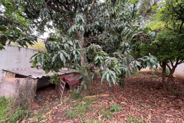 Terreno à venda no Bairro da Vila Clarice na Rua Major Alfredo Romão,
