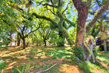 Linda Casa à venda no Bairro da Chácara Inglesa na Rua Cordovil Fernandes Lopes