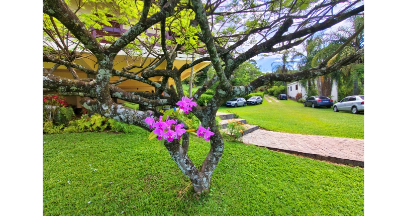 LINDA Casa à venda no Bairro do Chácara Jaraguá na Rua Rio Sapucaia do Sul