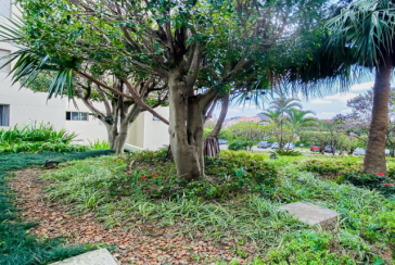 Apartamento à venda no Bairro do Parque Maria Domitila na Rua Willis Roberto Banks 549, no Condomínio Residencial América 