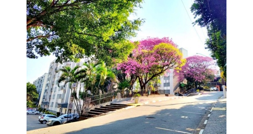  Apartamento à venda no Bairro do Jardim Santa Mônica na Avenida Santa Monica 593, 