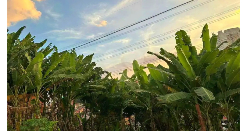 Terreno à venda no Bairro da Vila Mangalot na Rua José Ataliba Ortiz
