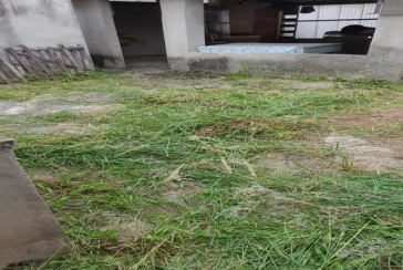 Terreno à venda no Bairro do Piqueri na Rua Manuel Fagundes de Souza