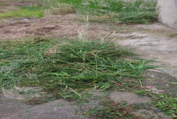 Terreno à venda no Bairro do Piqueri na Rua Manuel Fagundes de Souza