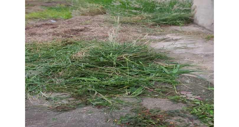 Terreno à venda no Bairro do Piqueri na Rua Manuel Fagundes de Souza