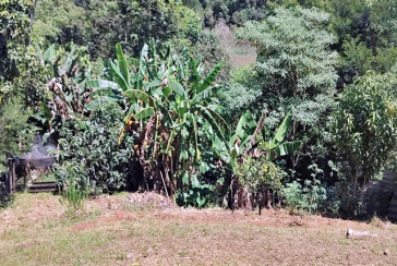  Chácara à venda em Cajamar no Bairro do Vau Novo 