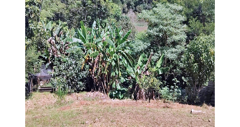 Chácara à venda em Cajamar no Bairro do Vau Novo 