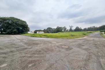 Terreno à venda no Bairro do Jardim Regina na Rua Canela Guaicá