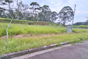 Terreno à venda no Bairro do Jardim Regina na Rua Canela Guaicá