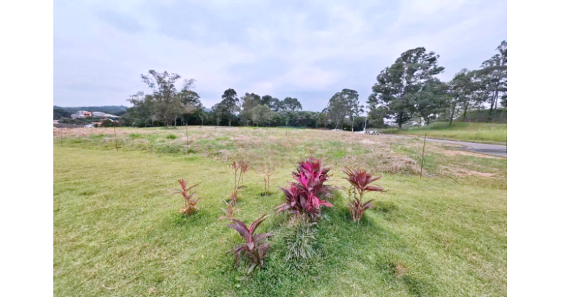 Terreno à venda no Bairro do Jardim Regina na Rua Canela Guaicá