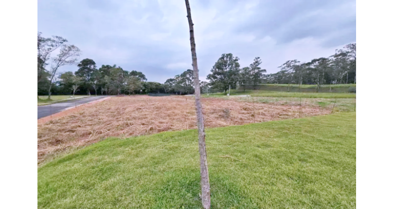 Terreno à venda no Jardim Regina na Rua Árvore da Chuva