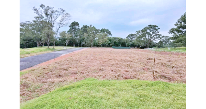 Terreno à venda no Jardim Regina na Rua Árvore da Chuva