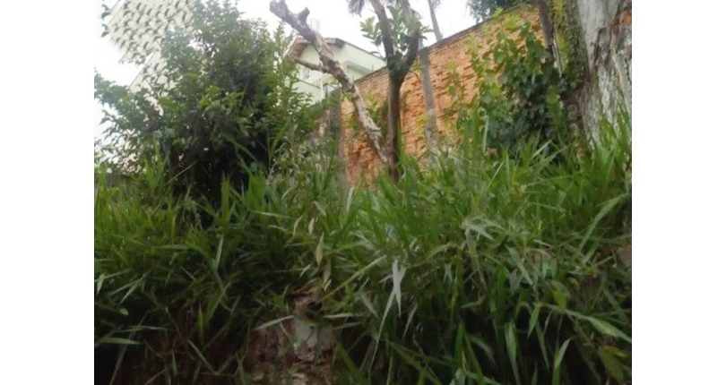 Casa Térrea assobradada à venda no Bairro da Chácara Inglesa na Rua Lord Clemente Attlee