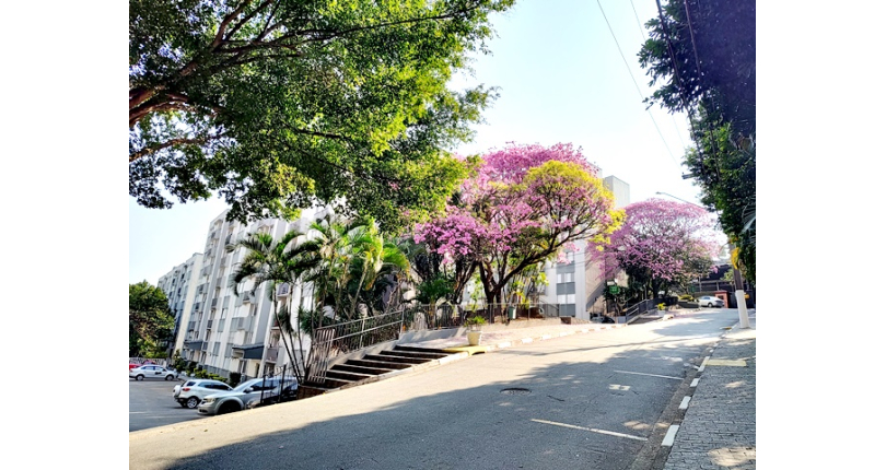Apartamento à venda no Bairro do Jardim Santa Mônica na Avenida Santa Monica 593