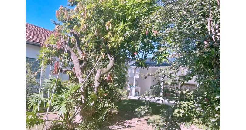 Terreno à venda em Itatiba no Bairro do Jardim Carlos Borella na Rua Santo Antônio