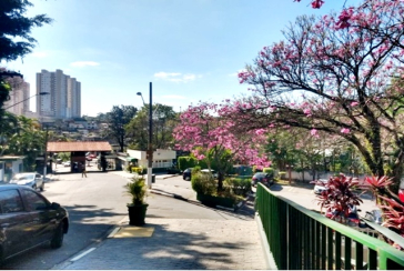 Apartamento à venda no Bairro do Jardim Santa Mônica na Avenida Santa Monica 593