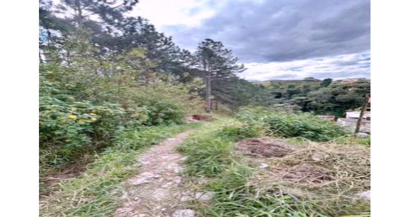 Terreno à venda em Caieiras no Bairro da  Vila Rosina na Rua Maria Bernarda Butler S/n,