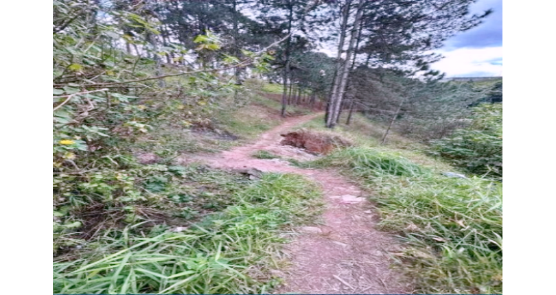 Terreno à venda em Caieiras no Bairro da  Vila Rosina na Rua Maria Bernarda Butler S/n,